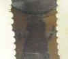 Prussian Garde Jäger "Private Purchase" or NCO Shako Visuel 10